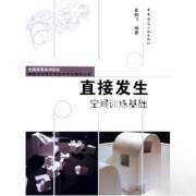 直接发生 李凤崧 中国建筑工业出版社