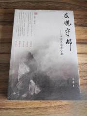 发现宁都——中国名家看宁都