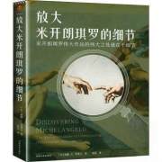 全新正版图书 放大米开朗基罗的细节威廉·华莱士河南社有限公司9787540156329